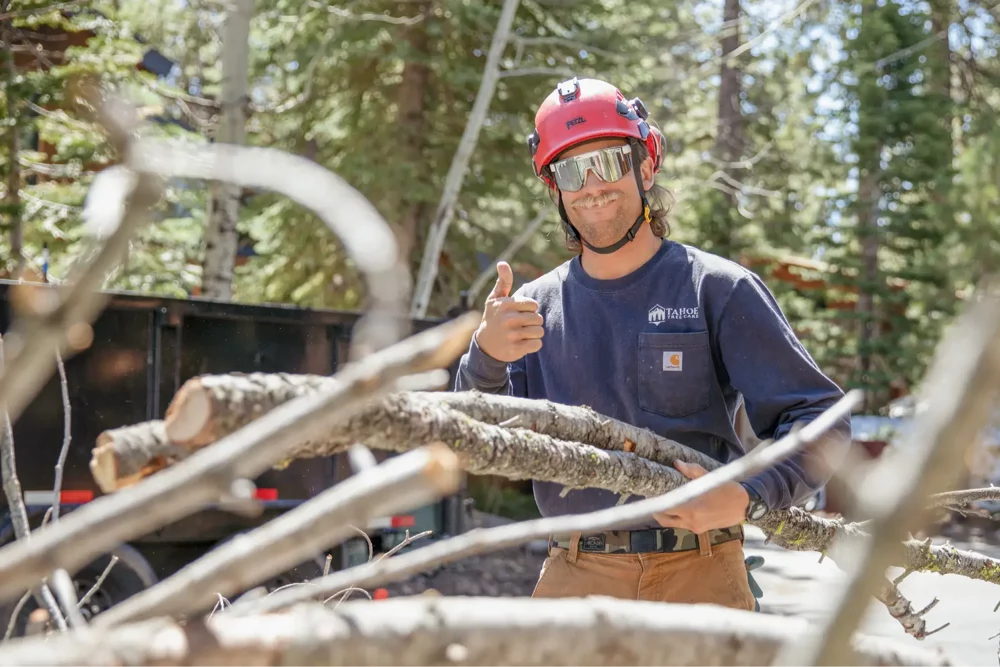 Forestry worker giving thumbs up near cut logs.